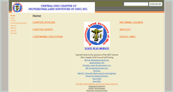 Desktop Screenshot of centralohioplso.org